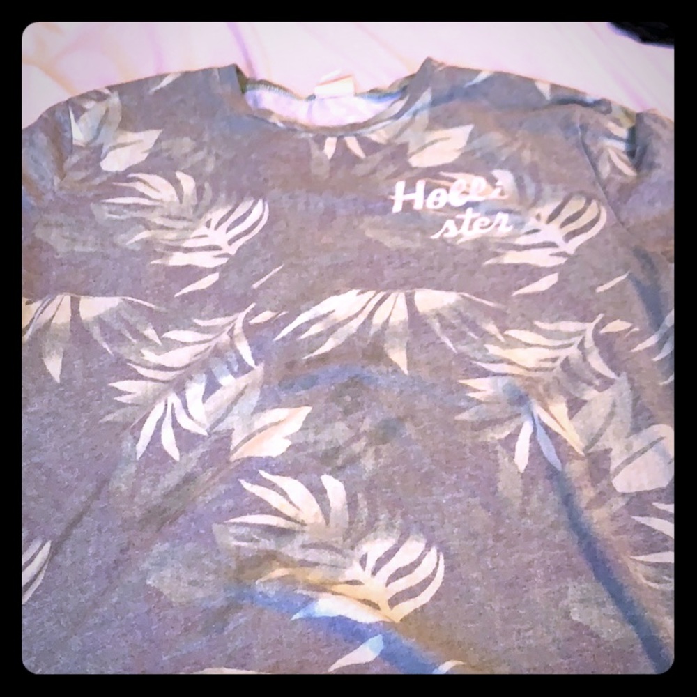 Hollister T